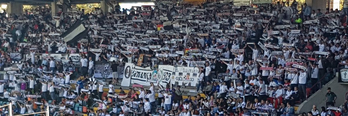 calter b.🐂 banner