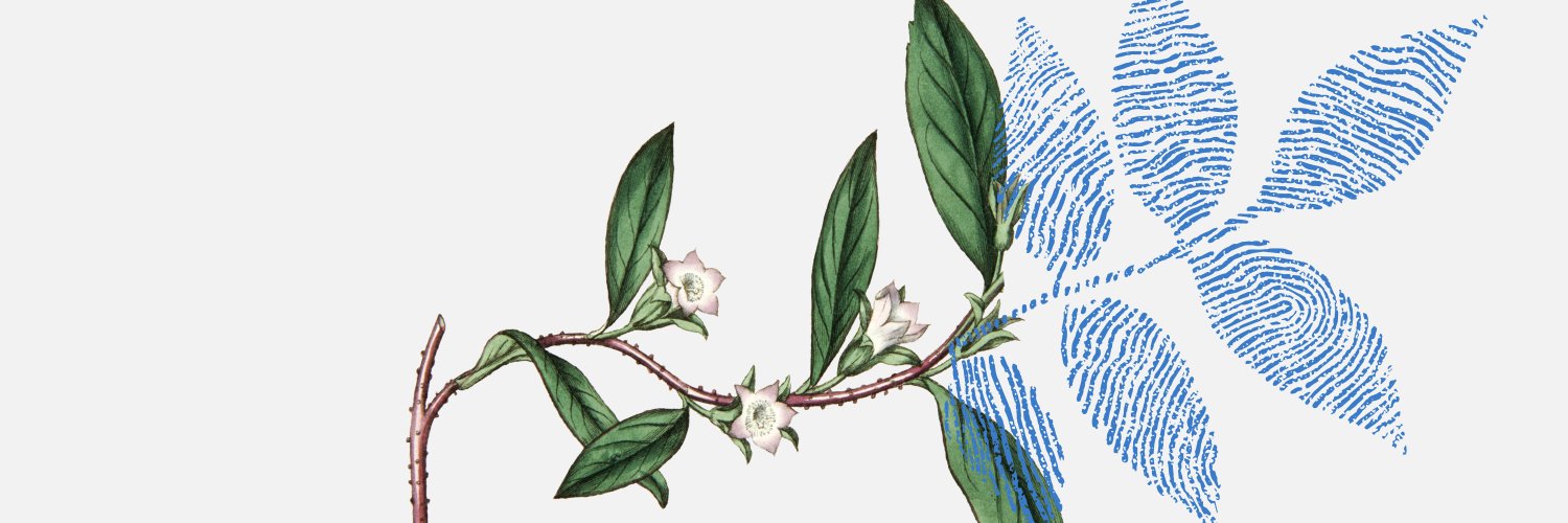 Twitter banner for @Greenhouse