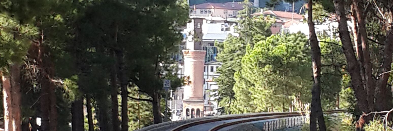 süleyman şentürk banner
