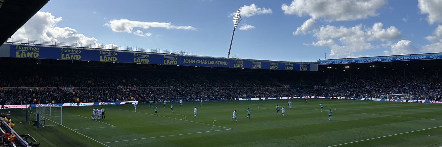 Ollie 🇮🇨 banner