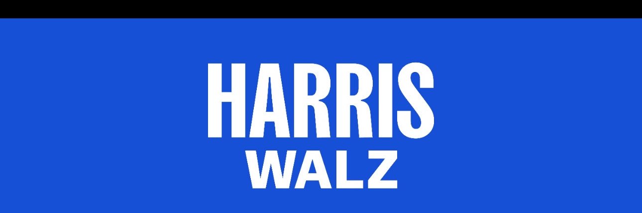 David 🇺🇸 🦅🟧☮️🏳️‍🌈💙🌊's banner