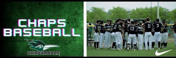 DuPageBaseball Profile Banner