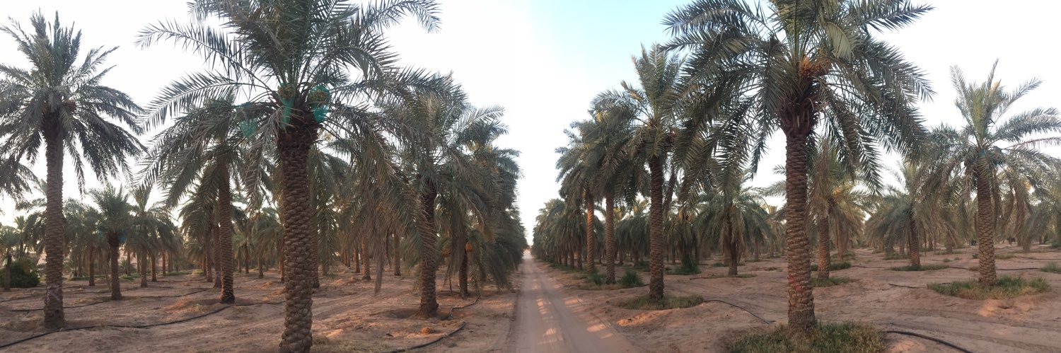 gulfdates's profile banner image