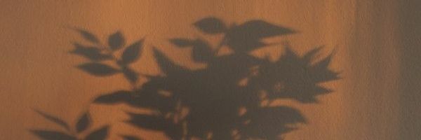 notyourstash_ Profile Banner