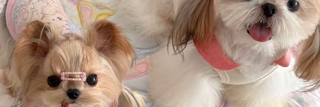smzzzms's profile banner image