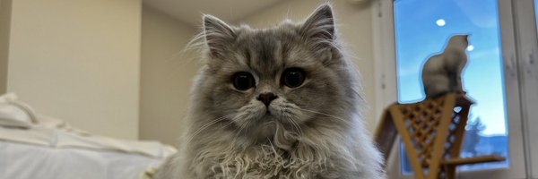 AyhanAkinn Profile Banner