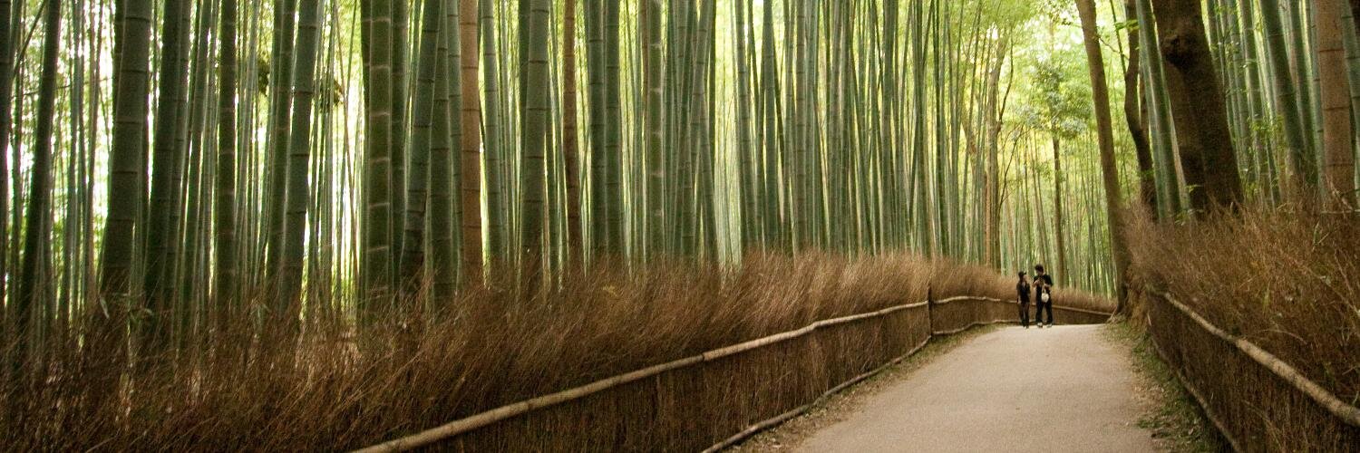 Keira Heu-Jwyn Chang banner