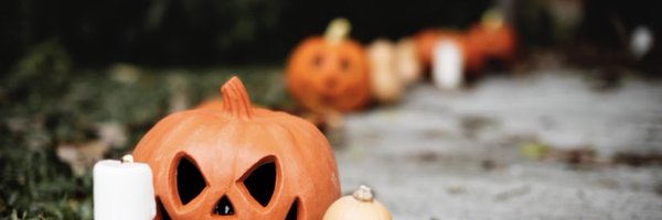 stoned_fox1 Profile Banner