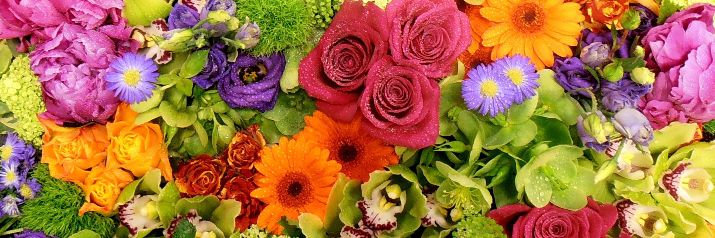 FlowerGiftHayle's profile banner image