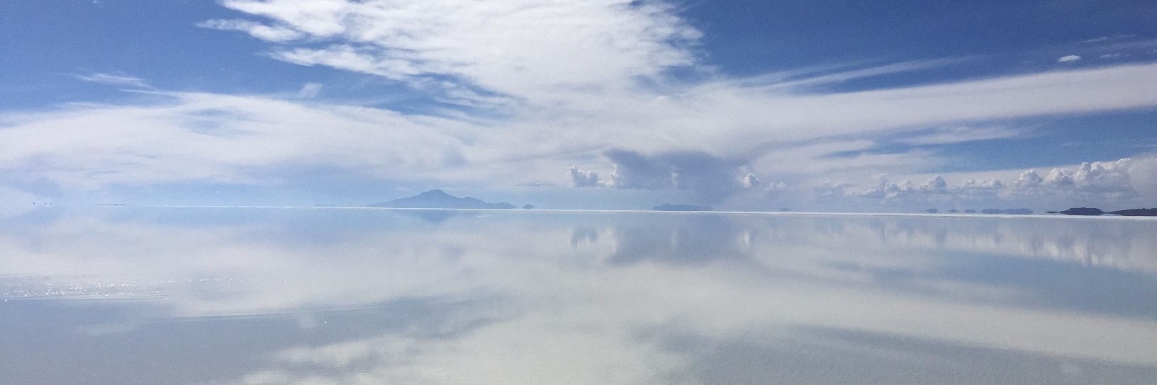 leotantan's profile banner image
