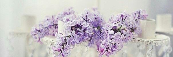 _alagrabowska's profile banner image