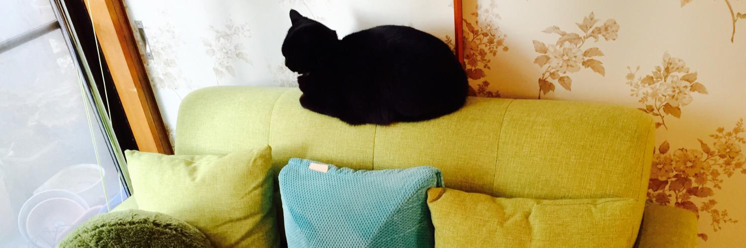 ななちゃん(猫好きサウスポー) banner