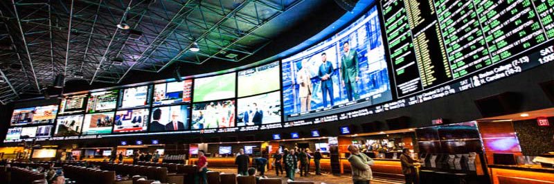 handicappingmar's profile banner image