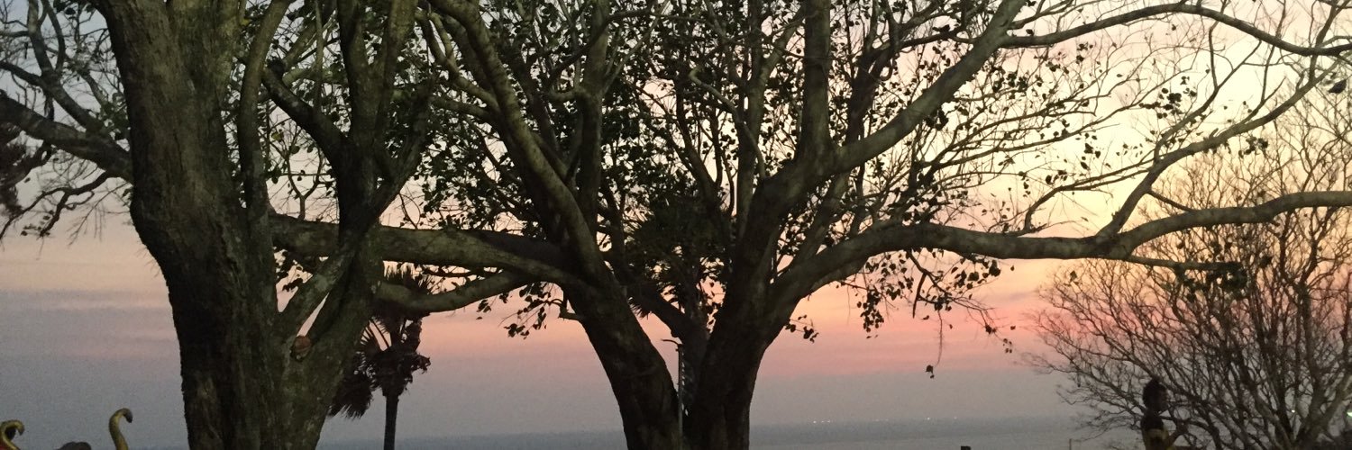 auchy05's profile banner image