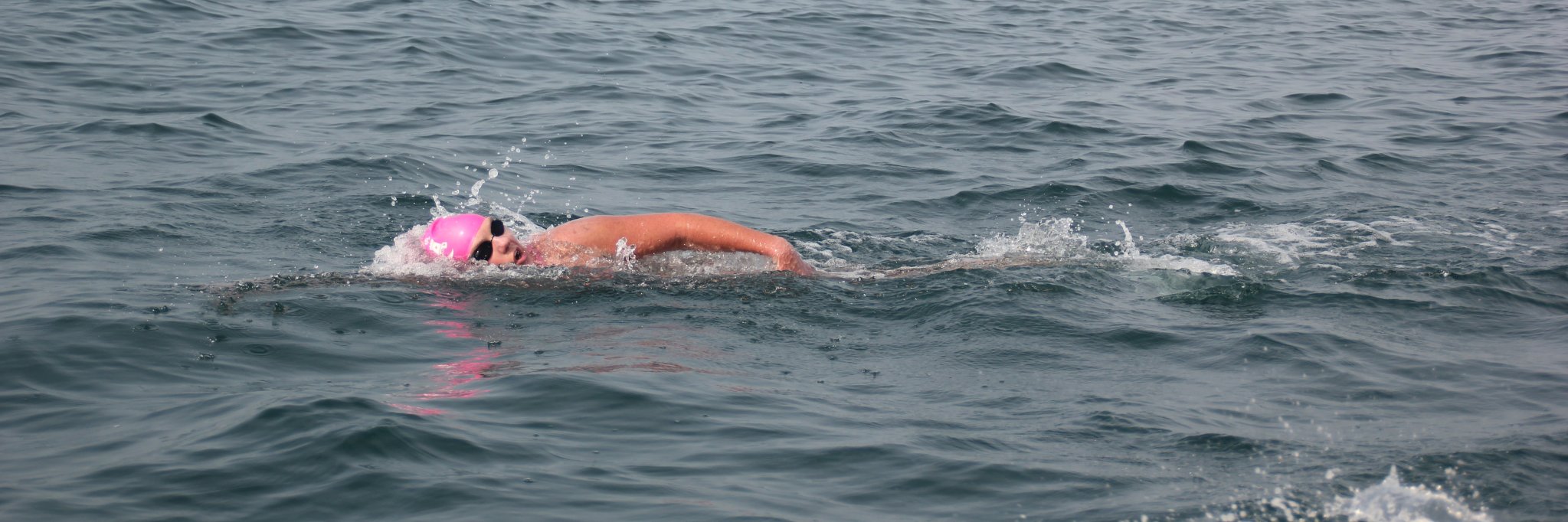 Carol Cashell banner