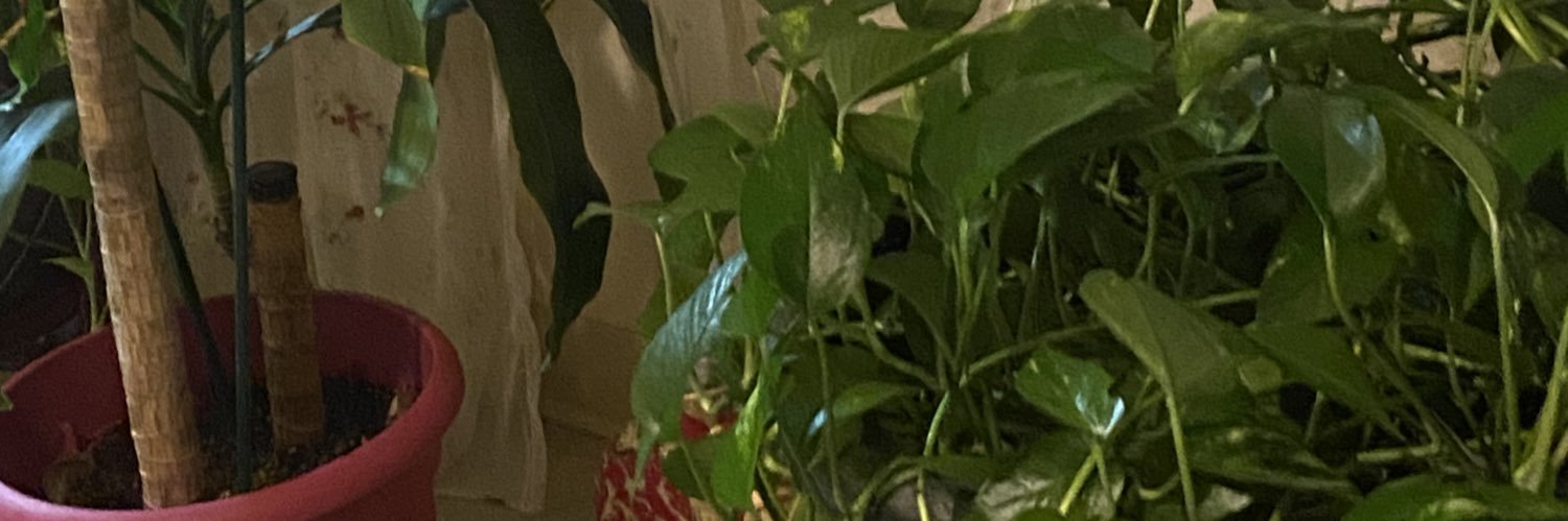 earthtonesbae's profile banner image