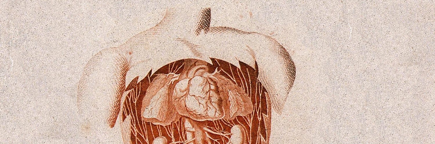 Hannah Copley banner