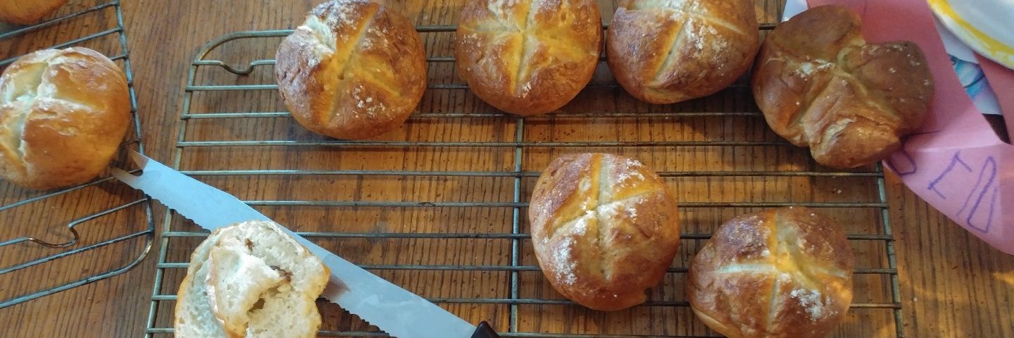 Alison Cousins banner