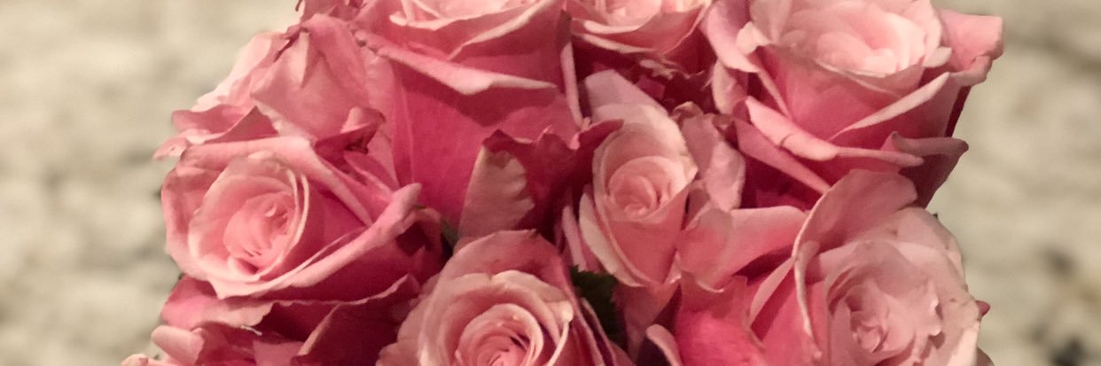 MrsElizardo's profile banner image