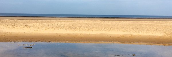 AnnaEMason Profile Banner