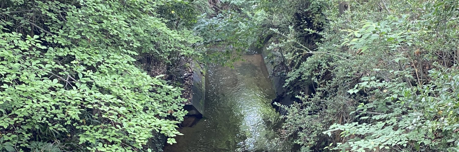 Kyoko Nakanishi banner