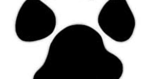 madis_m's profile banner image