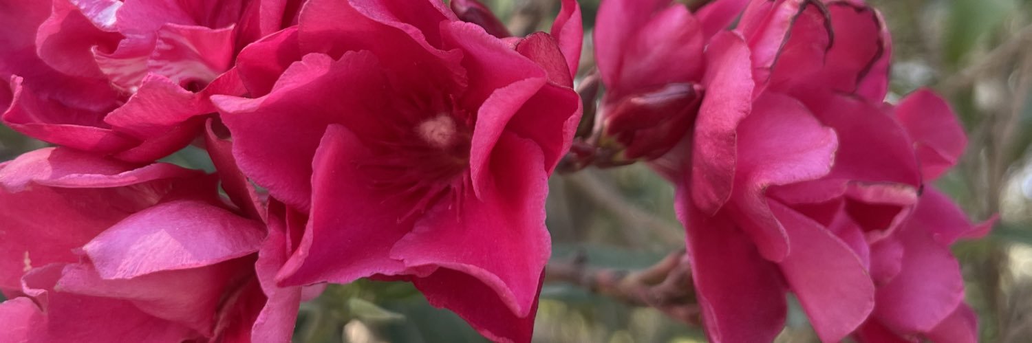 Heidy_234's profile banner image
