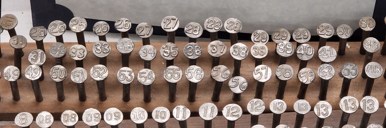 Suzanne Blum-Young banner