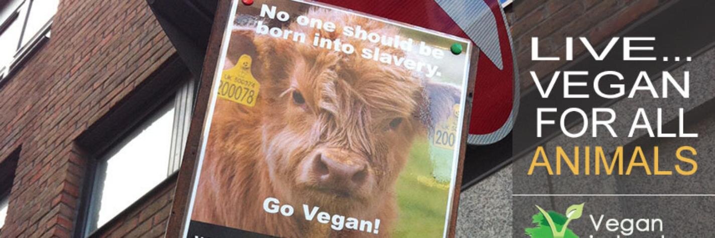 VeganIreland's profile banner image