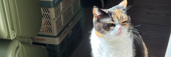 okinu1126 Profile Banner