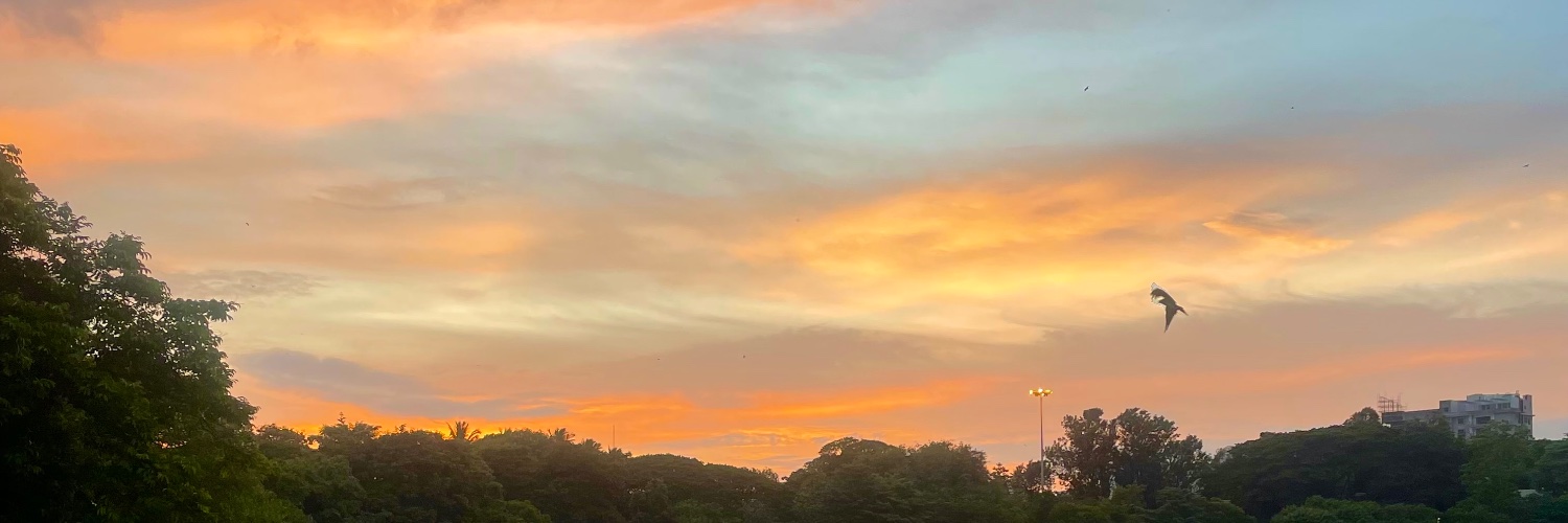 salonism's profile banner image