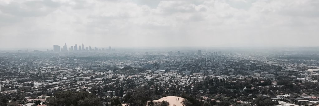 David Fletcher banner