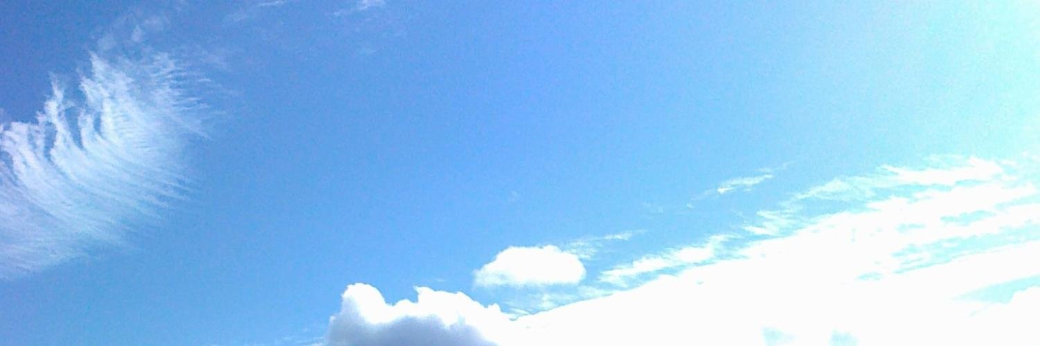 Dorotheatweets's profile banner image