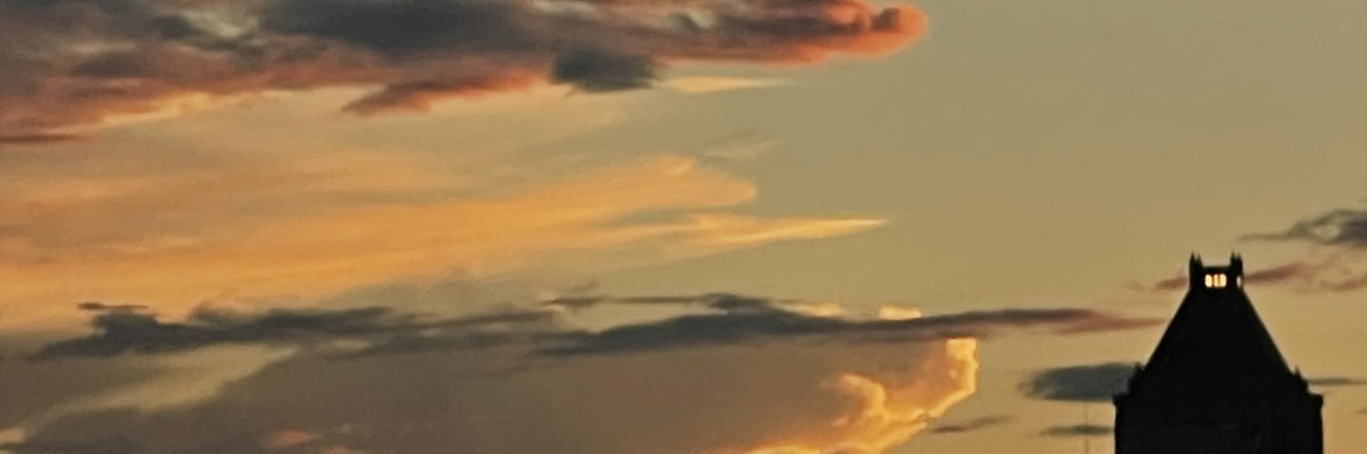 Nelly_babel's profile banner image