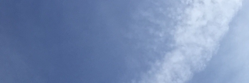 ȷď𝐛𝐛🌳 banner