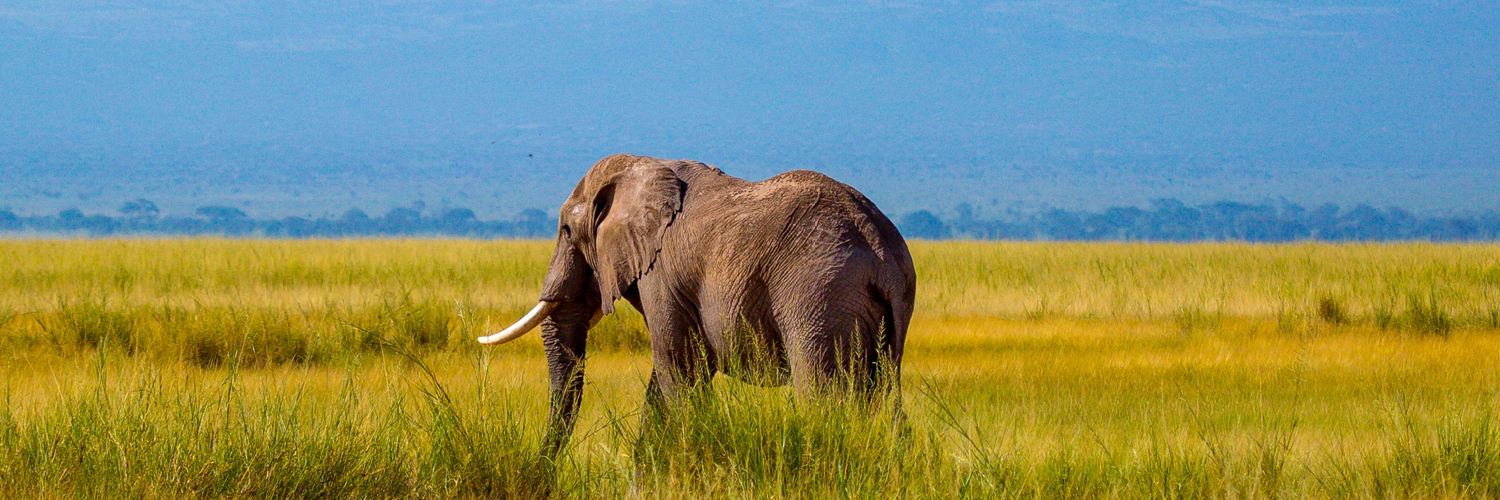 ndunguKn_'s profile banner image