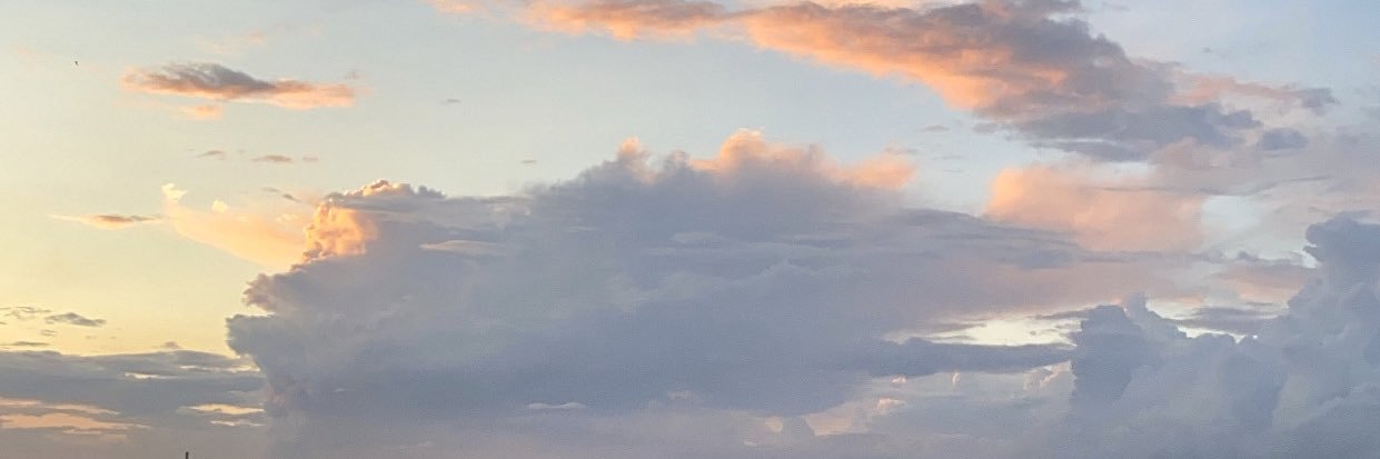 dashailienko's profile banner image