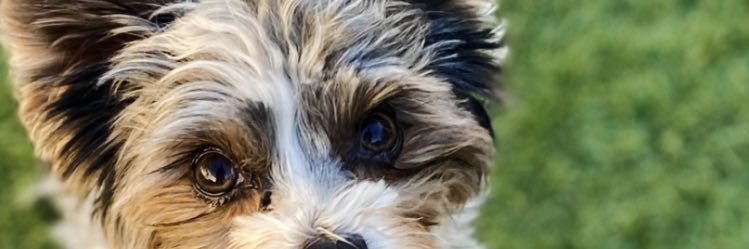 kellibillmaier's profile banner image
