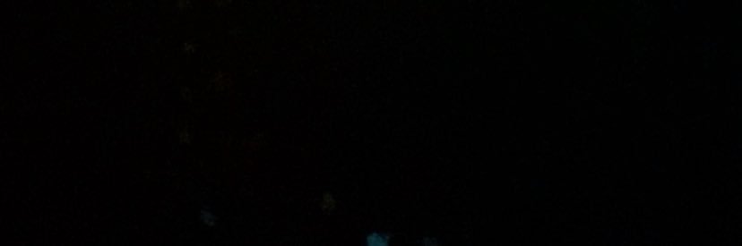 TheRabbit1994's profile banner image