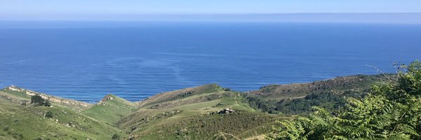 racheltait Profile Banner