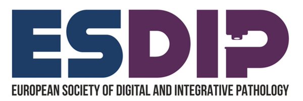 ESDIPatho Profile Banner