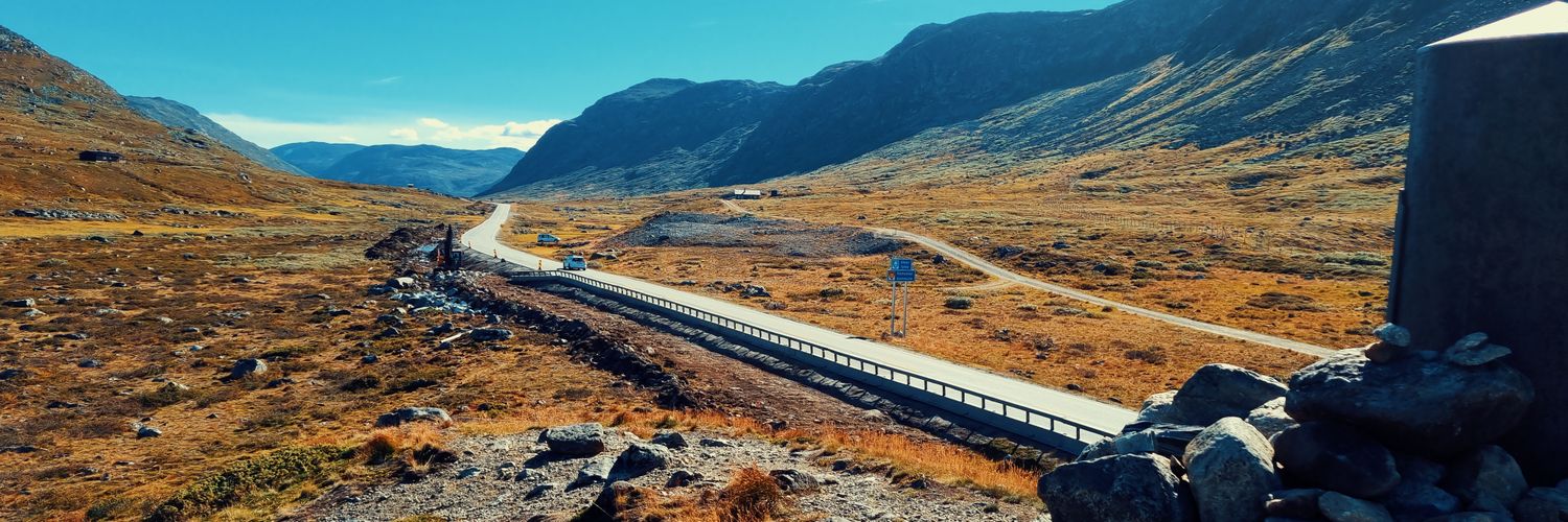 ✪ Michal Jones🇵🇱🇳🇱 banner