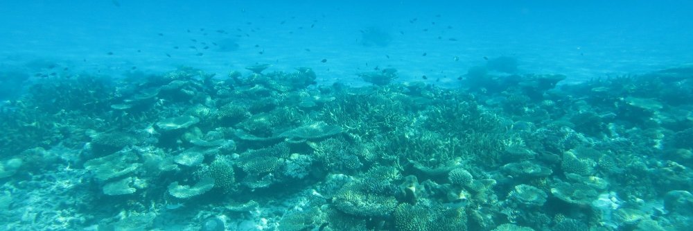 SebastienVilleger banner