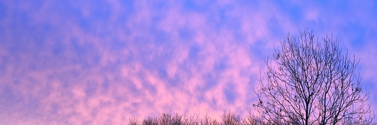 carlascoots's profile banner image