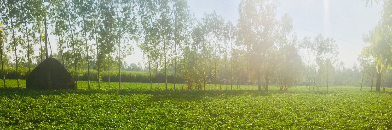 shivanigupta247's profile banner image