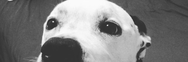 ahowe205's profile banner image