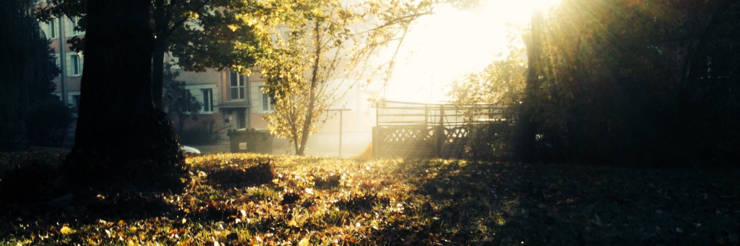 Sebastian Puchała banner