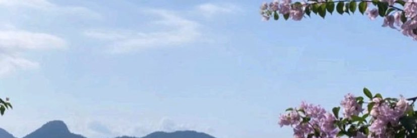 auo22's profile banner image