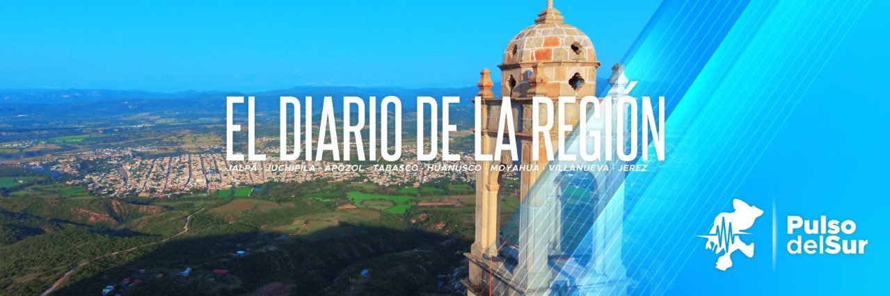 Pulso del Sur banner