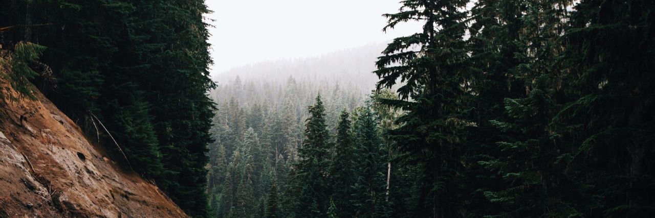 sodamnpositive's profile banner image